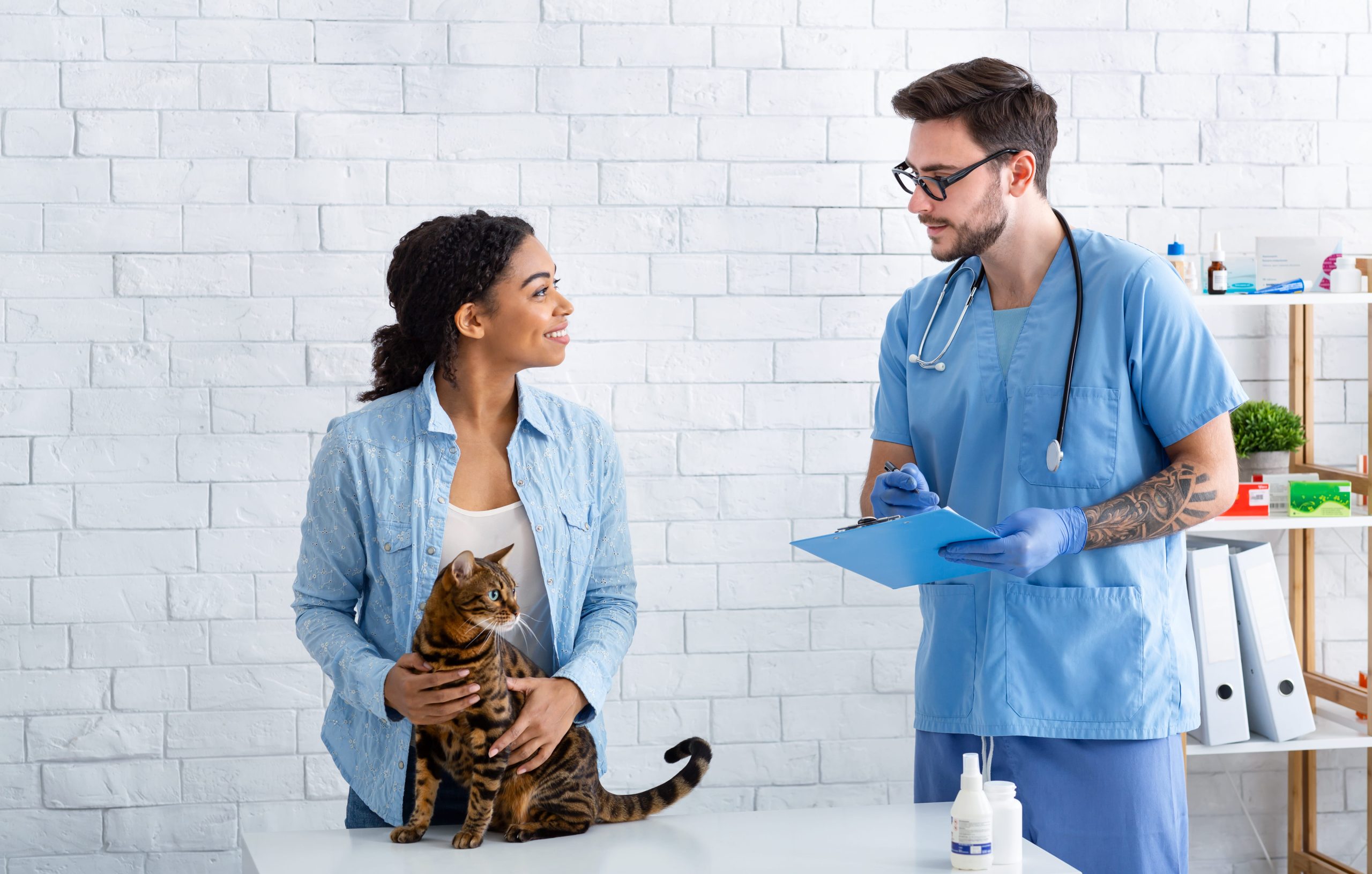 The True Cost of an Emergency Vet Visit in Dubai