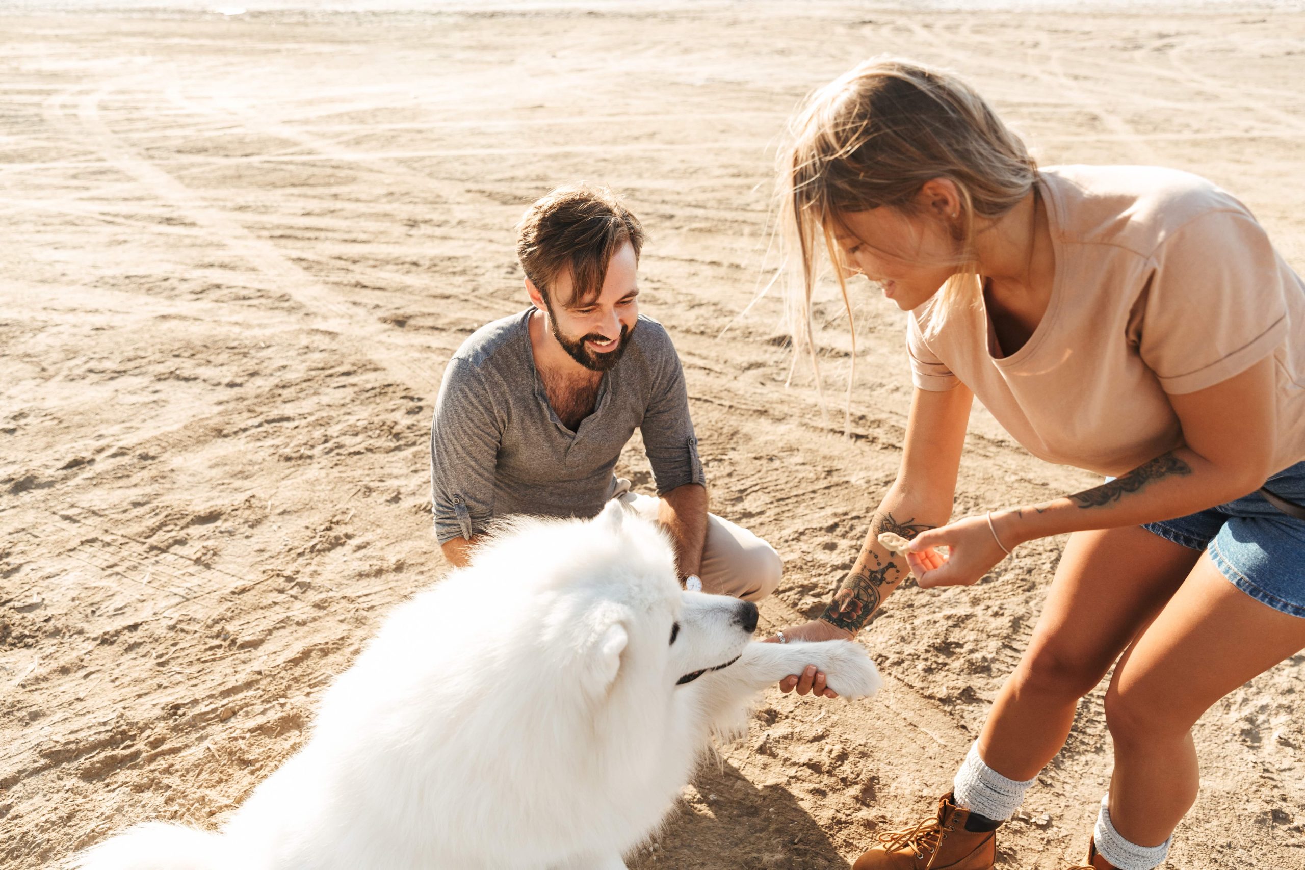 Protecting Your “Desert Dog”: Heatstroke and Summer Hazards in the UAE