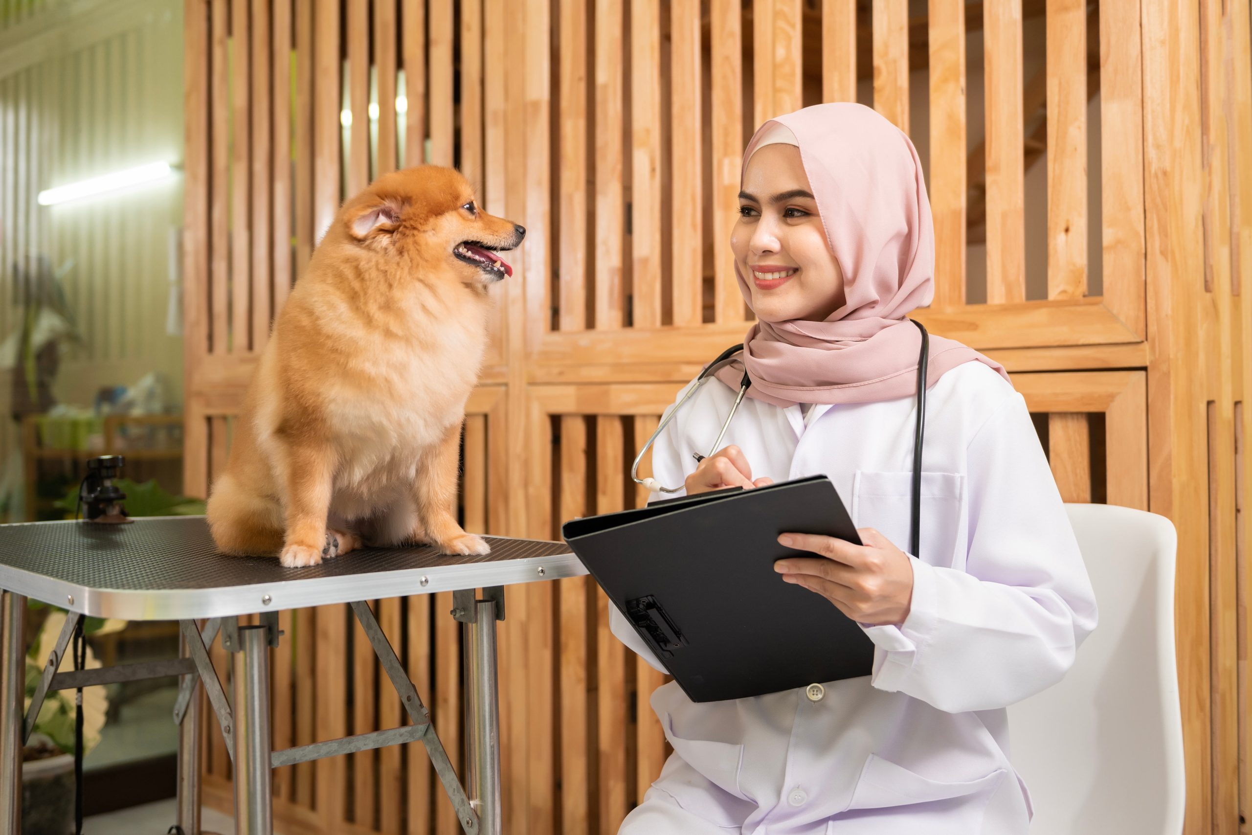 Pet Insurance in Dubai: Why 2026 is the Year to Get Covered