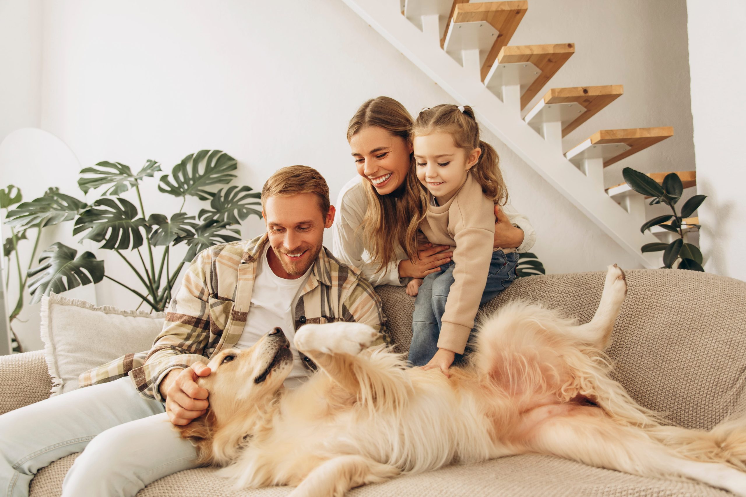 The “360-Degree” Pet Parent: Building Your Custom Plan with CoverB